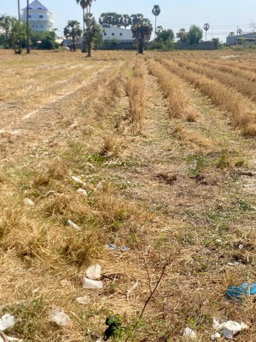 Prime Land for Sale or Rent