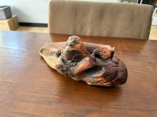 Wooden lizard carving