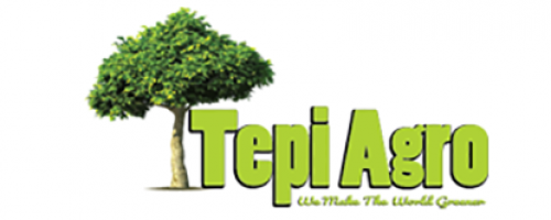 ផ្នែក រដ្ឋបាលបញ្ជាទិញ