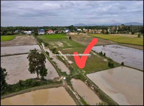 ដីលក់បន្ទាន់​ ម្ចាស់ផ្ទាល់ ប្លង់រឹងជាប់ប្រឡាយរដ្ឋ 12 ម៉ែត្រអាចចូលឡានបាន