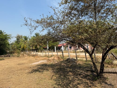 ដីជួល ទំហំជិត១ហិកតា នៅសាលាលេខ5 Land Rent at Sala Lek5 (Owner)
