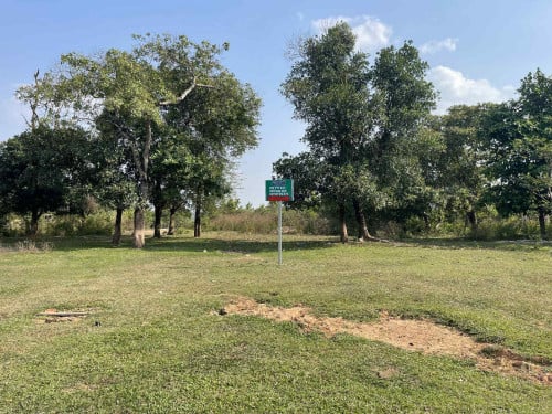 ដីទំហំធំ9995ម៉ែត្រការ៉េនៅលេីផ្លូវឆ្ពោះទៅឆេ្នរនេសាទនឹងឆេ្នរកោងកាង