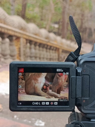 លក់ Nikon p900
