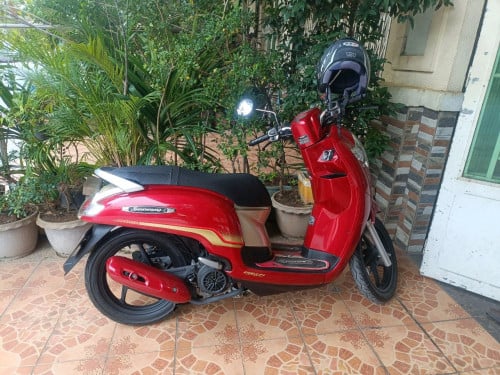 Honda scoopy 2019