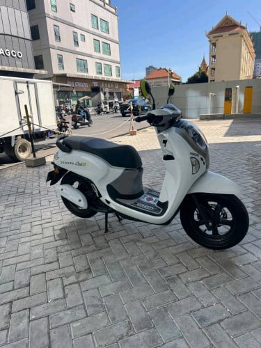 Honda scoopy 2025