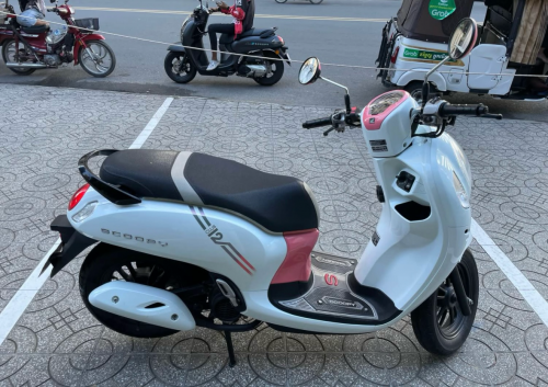 Honda scooyi