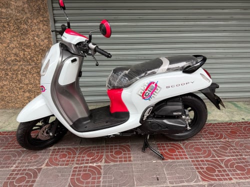 Honda scooyi