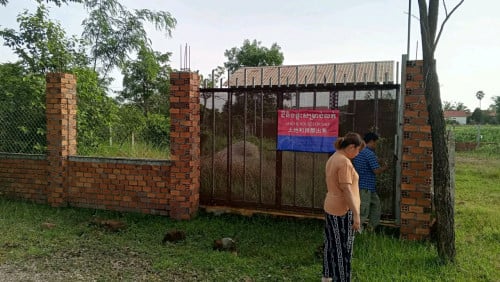 ដីលក់ក្នុងក្រុងសៀមរាប