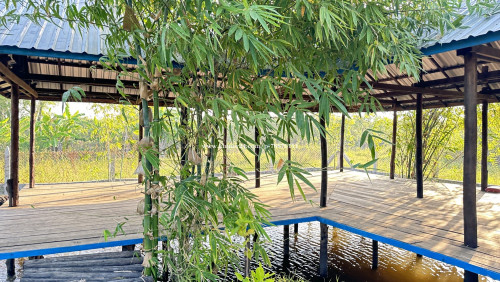 រកដៃគូរសហការ ចិញ្ចឹមសត្វនិងដាំដំណា