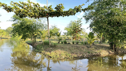 រកដៃគូរសហការ ចិញ្ចឹមសត្វនិងដាំដំណា
