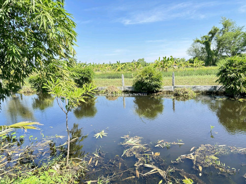 រកដៃគូរសហការ ចិញ្ចឹមសត្វនិងដាំដំណា