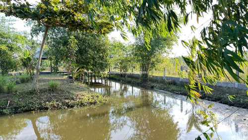 រកដៃគូរសហការ ចិញ្ចឹមសត្វនិងដាំដំណា