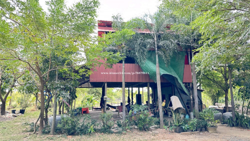 រកដៃគូរសហការ ចិញ្ចឹមសត្វនិងដាំដំណា