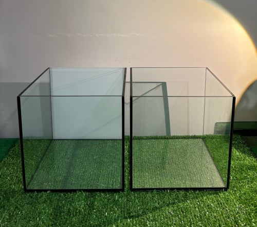 ទូចិញ្ចឹមត្រី/កំពឹស