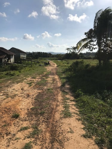 ដីលក់ ក្បាល18.5មែត្រ បណ្តោយ 65 មែត្រ