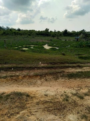 ដីលក់ ក្បាល18.5មែត្រ បណ្តោយ 65 មែត្រ