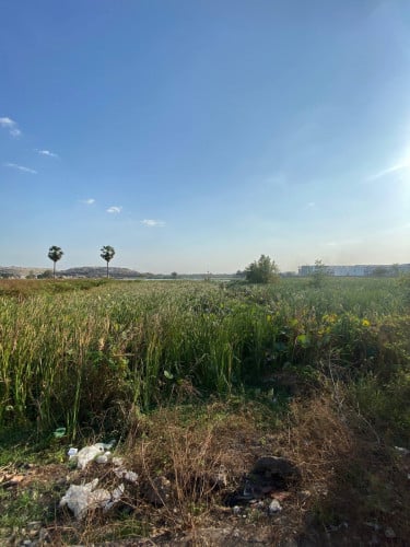 ដី សម្រាប់លក់​ ឬ​ ជួល $210/m2 / Land for sale or Rent $210/m2