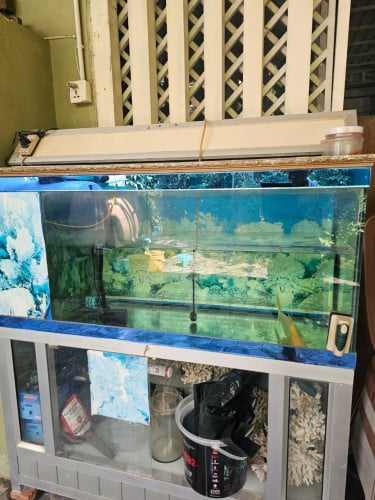 120X50 នោស្អាត