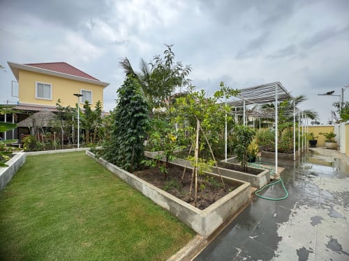 ដីប្លង់រឹងខ្នាតវីឡា 12x20m មានដំណាំស្រាប់ នៅព្រែកព្នៅ