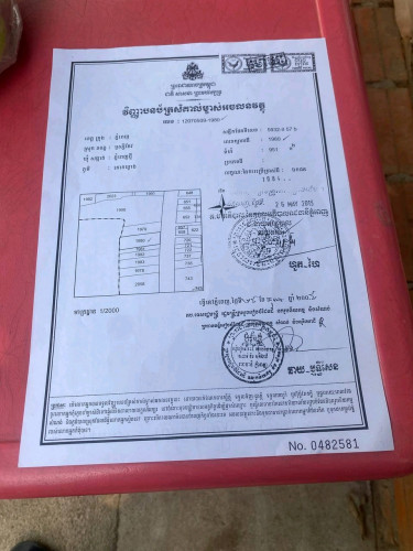 ដី ផ្លូវ 2011