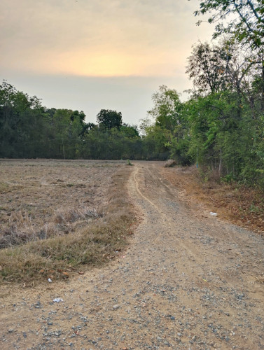 ផ្ទះលក់ចម្ងាយប្រហែល3kmពីផ្សារភូពុយ ក្បាលដី8.6m*48m(ហេង ហេង)