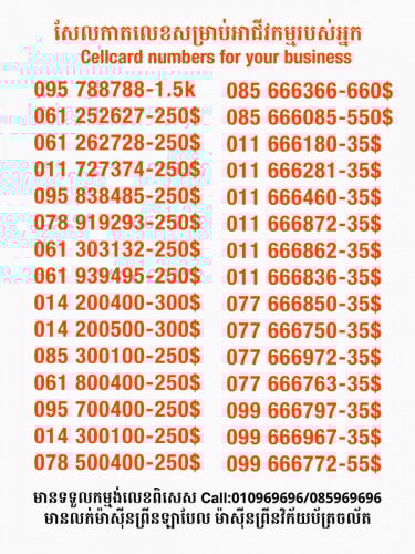 Cellcard តម្លៃពិសេសក្នុងឱកាសបុណ្យចូលឆ្នាំចិន