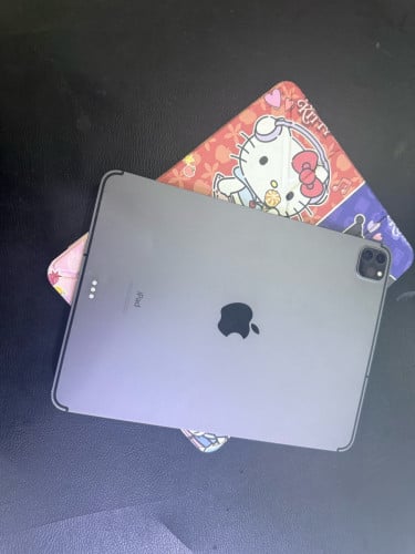iPad Pro 11 -inch 2nd generation 256G 98%  Sim my past