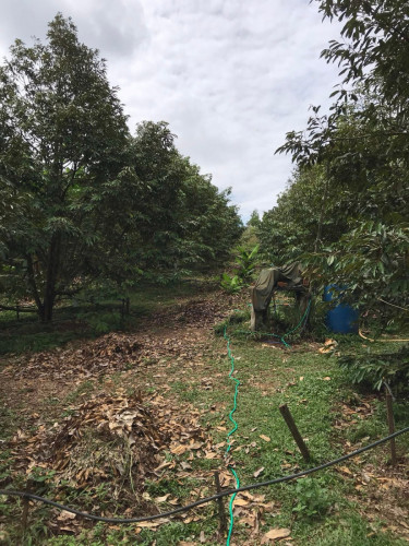 លក់ផ្ទះនឹងដី