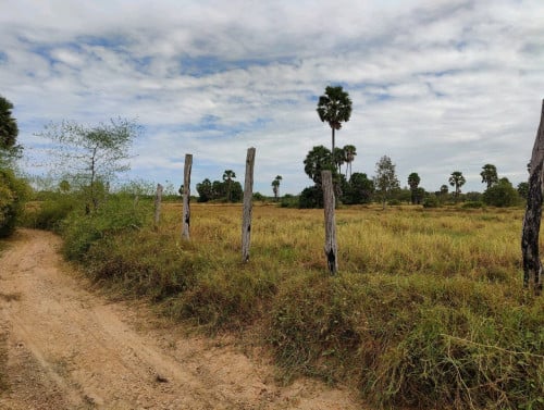 ដីលក់បន្ទាន់