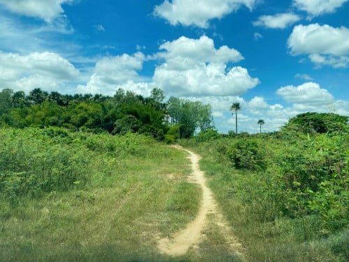 🏦Land Available for Urgent Sale at a Special Price (Negotiable).