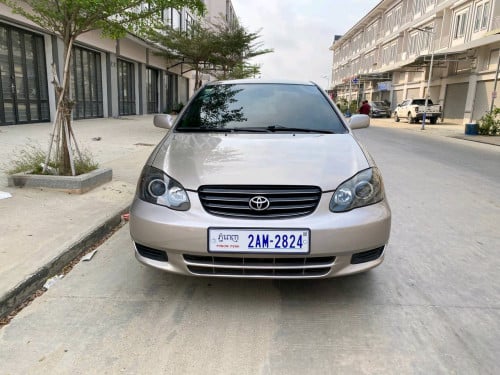 Corolla 03 ក្នុងលឿង ឯកសាគ្រប់ម្ចាស់ដើម