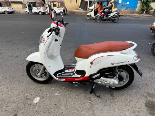 Honda scooyi