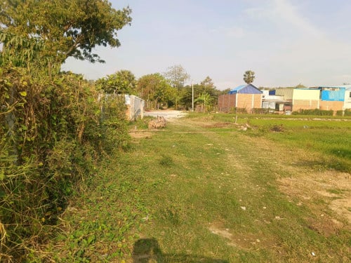 ដីចម្ការ