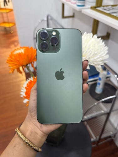 លក់បន្ទាន់ 13promax 256G