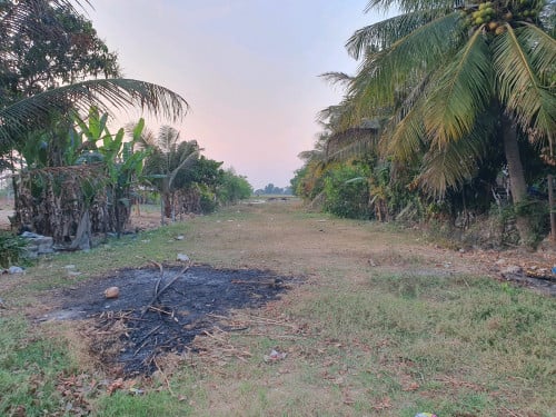លក់ដីបន្ទាន់