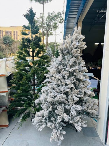 បានមកថ្មី​ បានរាប់រយ