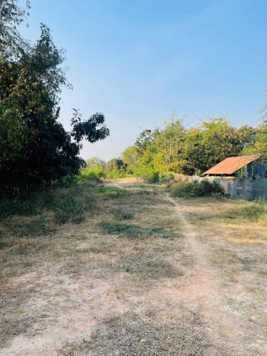 ដីលក់តម្លៃល្អនៅលើផ្លូវធំរកស៊ីបាន នៅមុខសាលារៀនស្តៅ