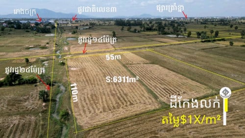 #ដីលក់នៅបាទី ($1x/ម៉ែត្រការ៉េ)