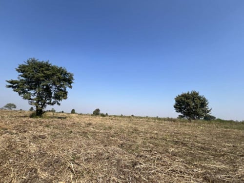 🏦Land Available for Urgent Sale at a Special Price (Negotiable).