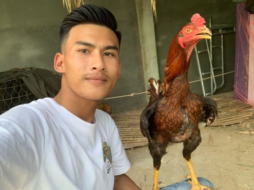 សួរស្ដីបងប្អូនដែលនិយមចូលចិត្តខាងវិស័យបក្សីកីឡាទាំងអស់គ្នា
