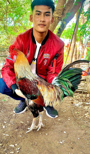 សួរស្ដីបងប្អូនដែលនិយមចូលចិត្តខាងវិស័យបក្សីកីឡាទាំងអស់គ្នា