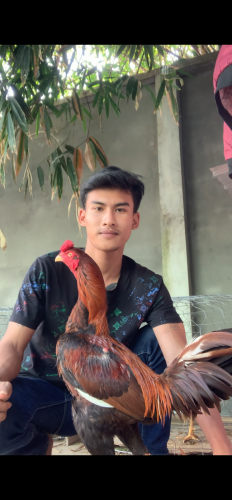 សួរស្ដីបងប្អូនដែលនិយមចូលចិត្តខាងវិស័យបក្សីកីឡាទាំងអស់គ្នា