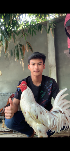 សួរស្ដីបងប្អូនដែលនិយមចូលចិត្តខាងវិស័យបក្សីកីឡាទាំងអស់គ្នា