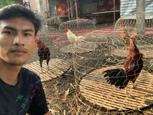 មេីលលេងកម្សានបងប្អូន ចាប់អារម្មណ៍ចង់បានអាចឆាតមកសួរតម្លៃរបាន