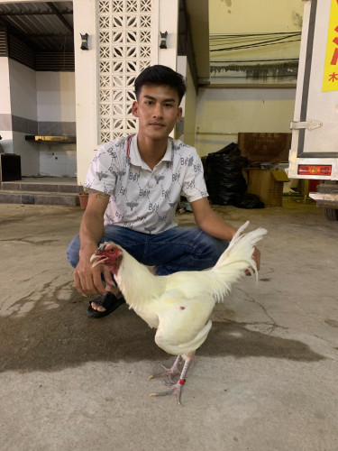 សួរស្ដីបងប្អូនដែលនិយមចូលចិត្តខាងវិស័យបក្សីកីឡាទាំងអស់គ្នា