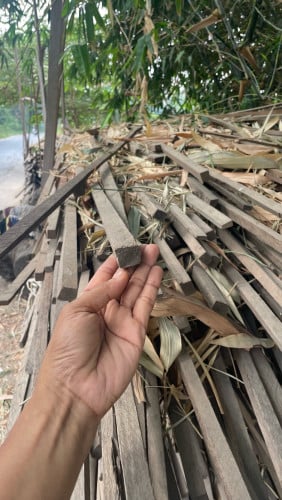 ឆ្អឹងដៃរណែង