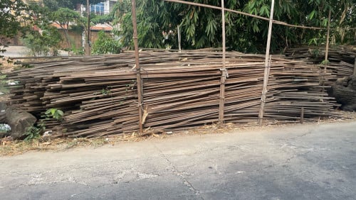 ឆ្អឹងដៃរណែង
