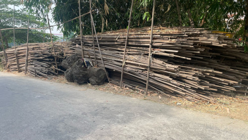ឆ្អឹងដៃរណែង