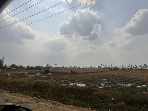 ដីលក់នៅអង់ស្នួល