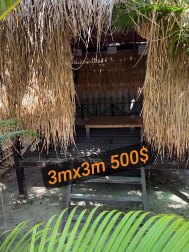 កញ្ជុះ​ស្បូវ​